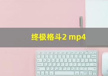 终极格斗2 mp4